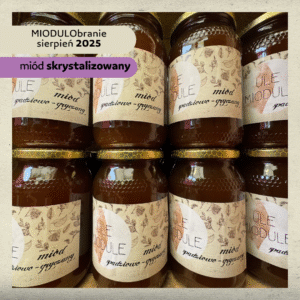 Spadziowo - gryczany