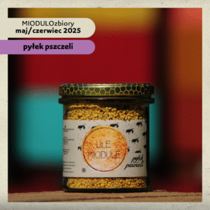 Pyłek pszczeli wiosenny 0,2 kg