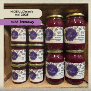 Wielokwiatowy wiosenny  z jeżyną 1,2 kg