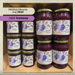 Wielokwiatowy wiosenny  z borówką 1,2 kg