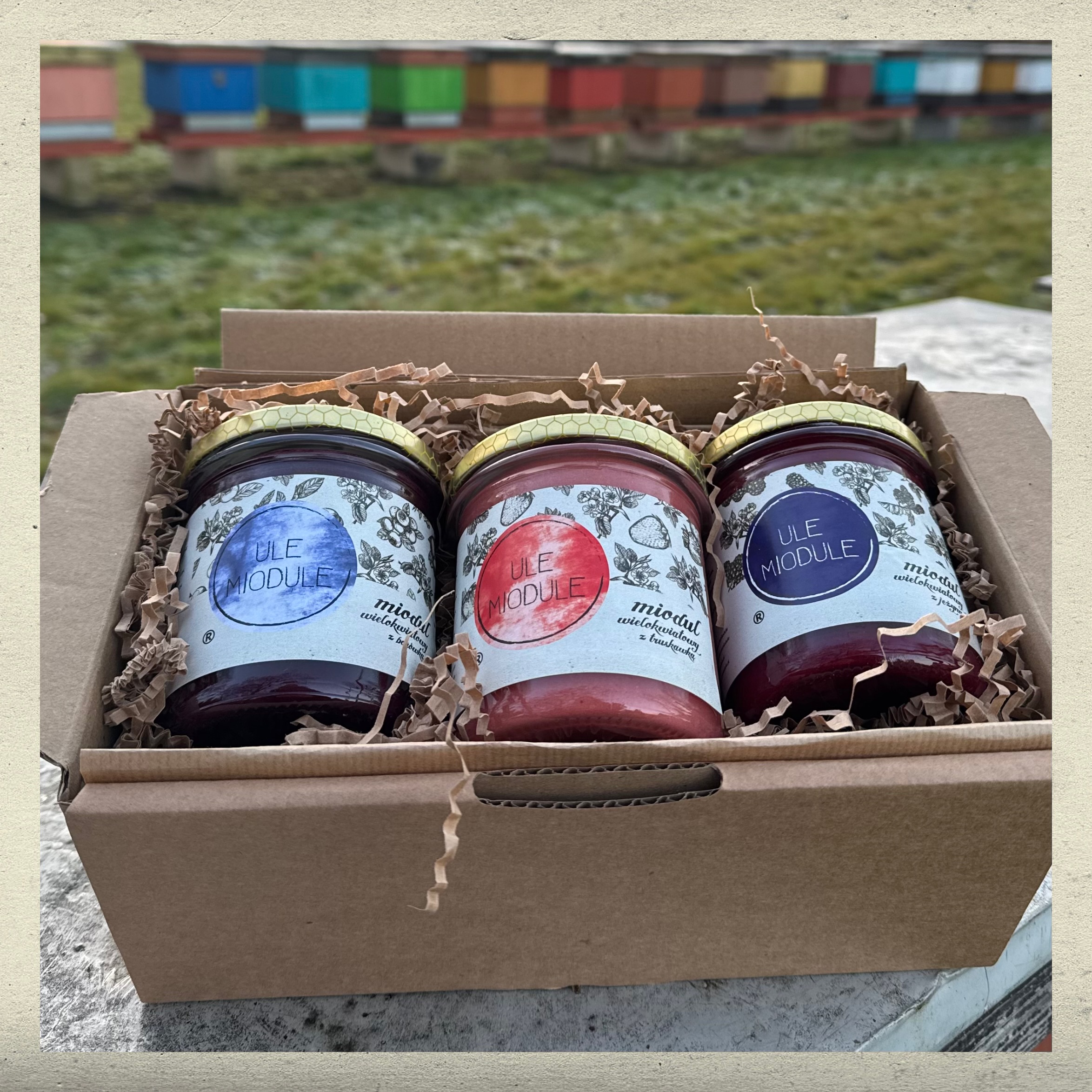 Zestaw Trinity fruit wspomnienie lata